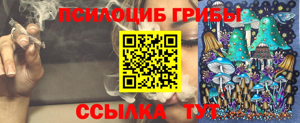 Галлюциногенные грибы Magic Shrooms  купить  цена  Бузулук  Вход с VPN 